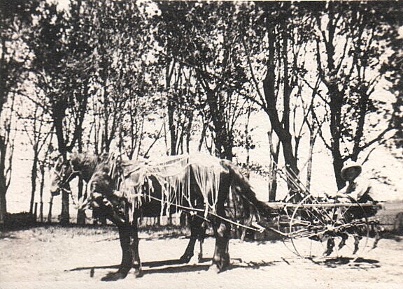 Arthur Tolstrup on a single row cultivator