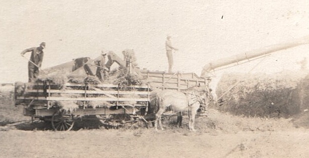 Oat threshing time